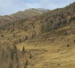 Gennaio Dobbiaco Val Pusteria